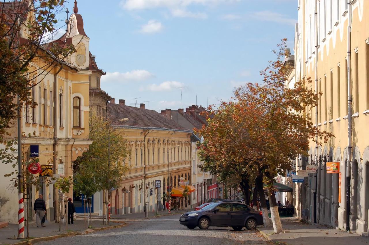 Butterfly Apartment-Hidden Gem In The Heart Of Targu Mures Exterior photo